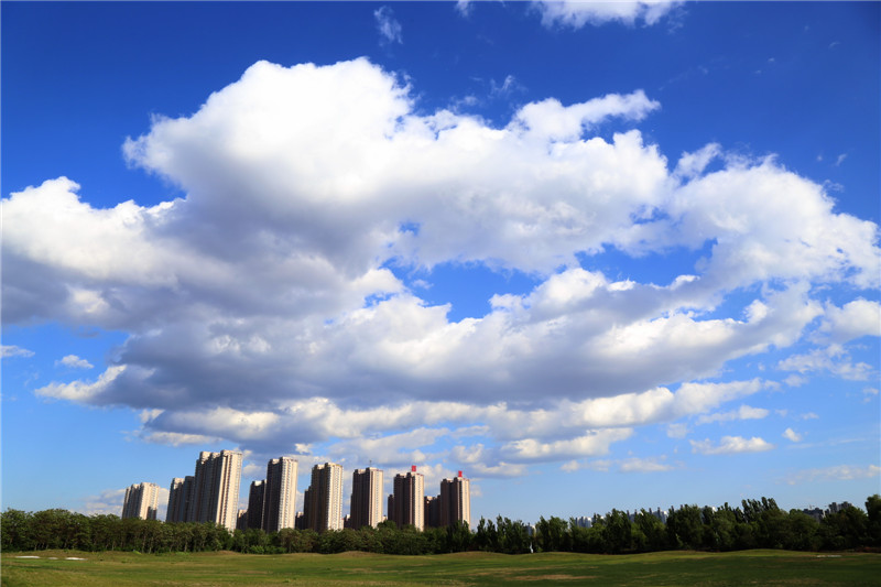 保定植物園 彭博攝